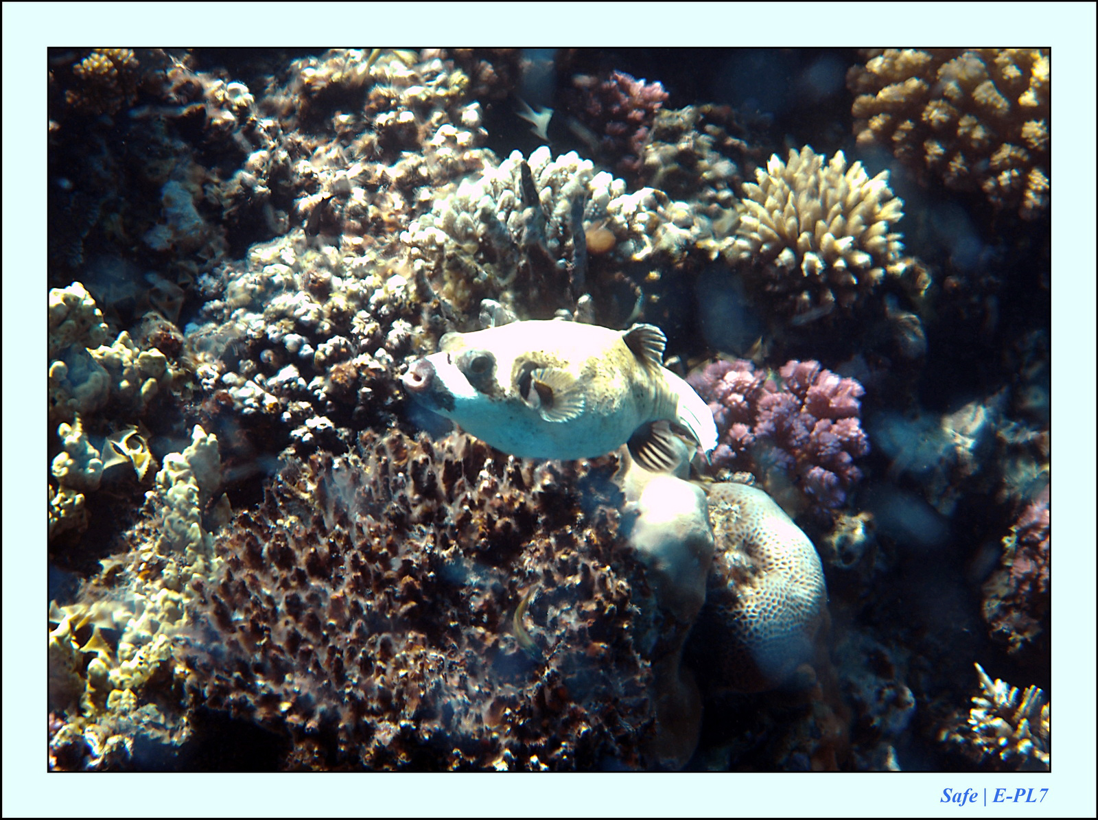 Hurghada - Juillet 2021 - 037